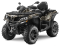 Квадроцикл CFMOTO CFORCE 850 True Timber Camo