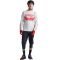 Джерсі TLD SKYLINE AIR LS JERSEY AIRCORE [CEMENT]