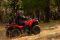 Квадроцикл CFMOTO CFORCE 520 L EPS (CF500AU-9L) Magma Red