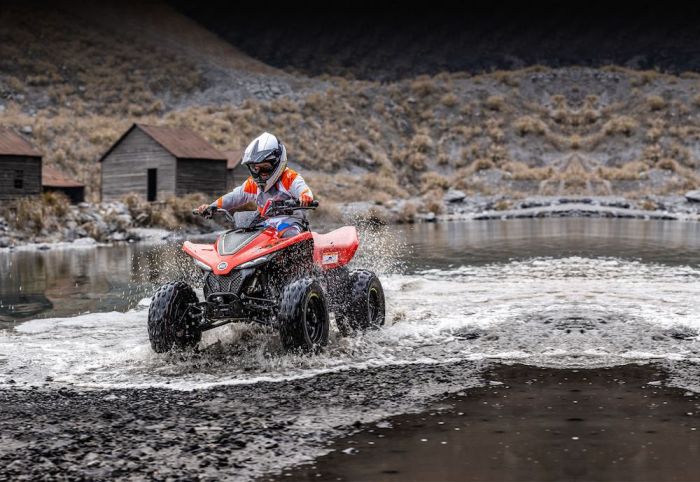 Квадроцикл CFMOTO CFORCE 110 Червоний