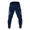 Штани TLD Sprint Pant [Navy]