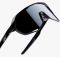 Окуляри Ride 100% S2 - Soft Tact Black Colored Lens