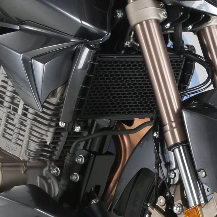 Мотоцикл GEON Stinger 250 R